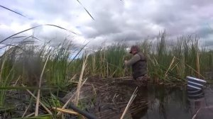 НАШЁЛ ОКНО, ГДЕ ОНИ ПЛАВАЮТ! Рыбалка на поплавок. Ловля карася