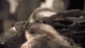 ВЕЛИКАЯ СУББОТА 
слова Оксаны Москаленко