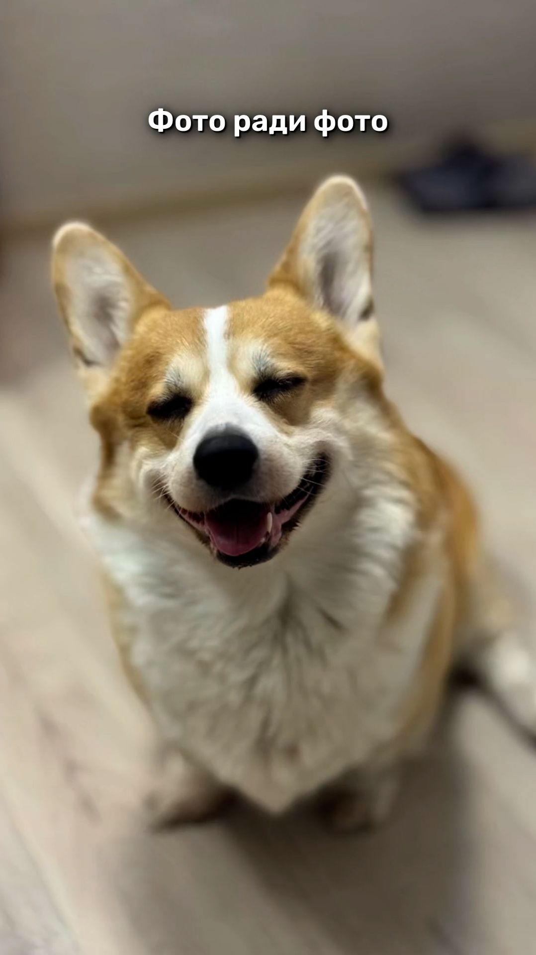 Фото ради фото