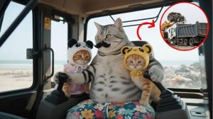 Папа Кот, Его Золотистые котята и добрая Чау-Чау Вместе убирали пляж 🌊🐶