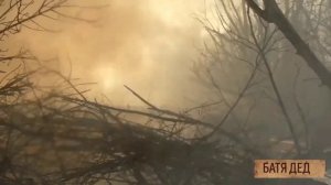 БАТЯДЕД - Цветочная артиллерия (нейро)