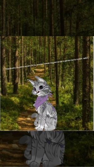 Подпишись не ленись