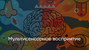 Мультисенсорное восприятие