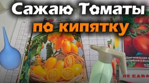 #6 ТОМАТЫ ПО КИПЯТКУ