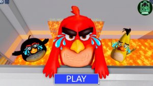 МАЛЫШУ из ANGRY BIRDS в ЛАВЕ НУЖНА ПОМОЩЬ! БАРРИ СБЕЖАЛ ИЗ ТЮРЬМЫ! #roblox #obby