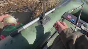 ПРИКОРМИЛ ХАЛВОЙ И КАРАСЬ СДУРЕЛ! РЫБАЛКА НА ПОПЛАВОК КРУПНЫМ ПЛАНОМ!