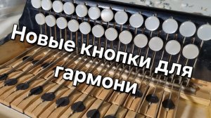 Как установить новые кнопки на гармони.