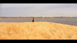 зарагатил в песок ЧАСТЬ 14