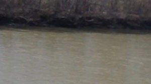 DSCN8619Апрель 2026 Набережная возле парка Невинномысск