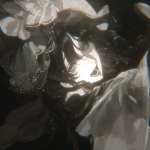 я вернулась!