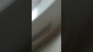 показываем драконов и имена