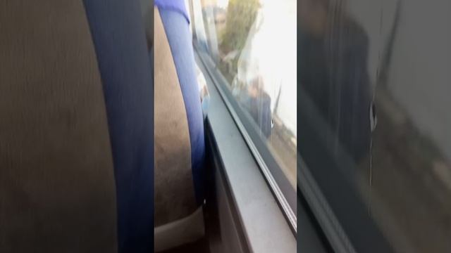 Поездка в Гулькевичь