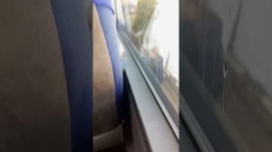 Поездка в Гулькевичь