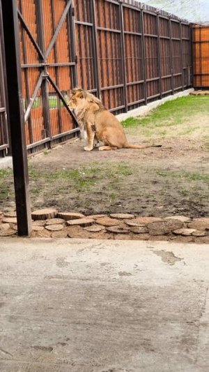 Все пометить!