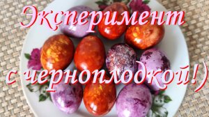 Эксперимент по покраске яиц с использованием черноплодной рябины
