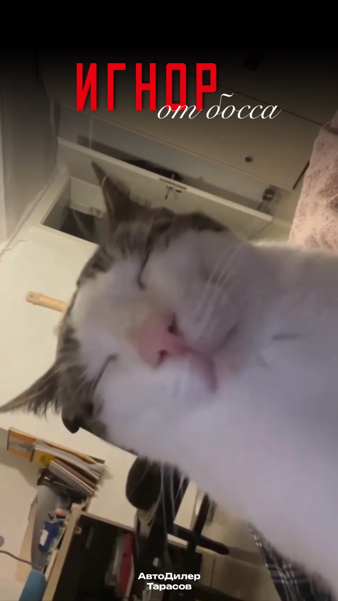 Игнор от босса?