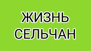 Сельчане ждут ответ из РКН