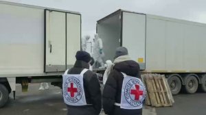 ❗️🇷🇺🇺🇦 Россия передала Украине 1000 тел погибших военных и получила 41 тело российских бойцов…