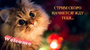 Clair Obscur: Expedition 33