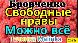 Семья Бровченко _Свободные нравы_Можно все _Обзор Влогов _