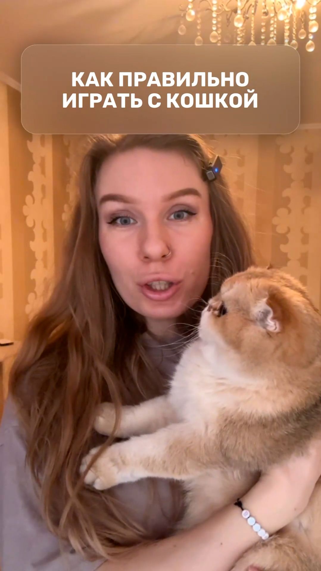 Как правильно играть с кошкой