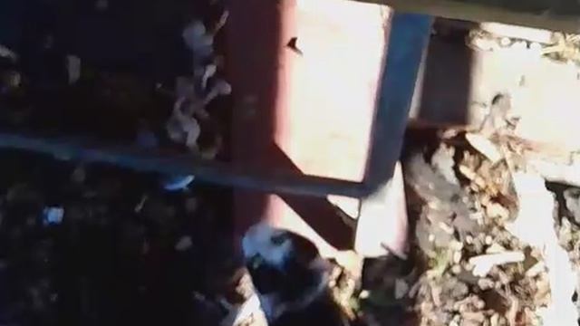 Подпишись на меня!!!