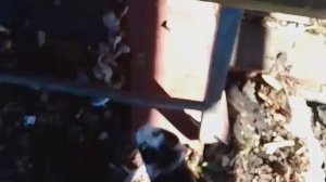 Подпишись на меня!!!