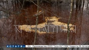 Садовые товарищества в Берёзовой пойме затопило серной кислотой с кислыми гудронами