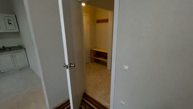 обзор гареева 9/1