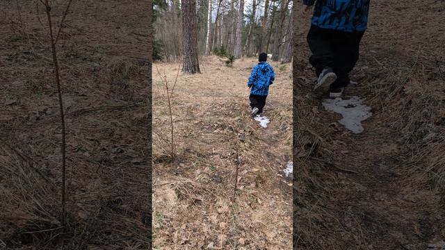 Прогулка по лесу с Артёмом Dzenom