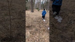 Прогулка по лесу с Артёмом Dzenom