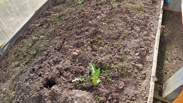 НА УЧАСТКЕ 9 АПРЕЛЯ.