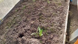 НА УЧАСТКЕ 9 АПРЕЛЯ.