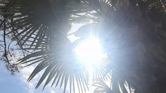 Весна в Сухум.