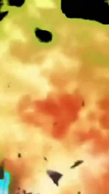 Рыжие хитрецы.