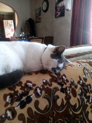 Привет я вика часть 2 все