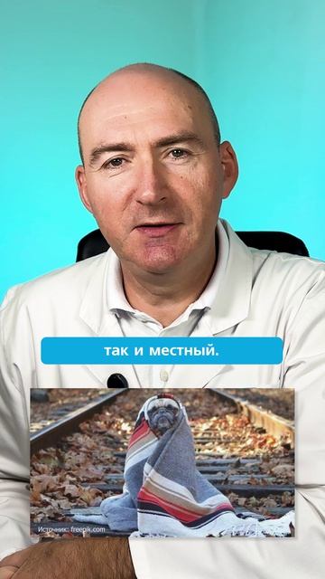 Почему мы часто более осенью? смотреть онлайн