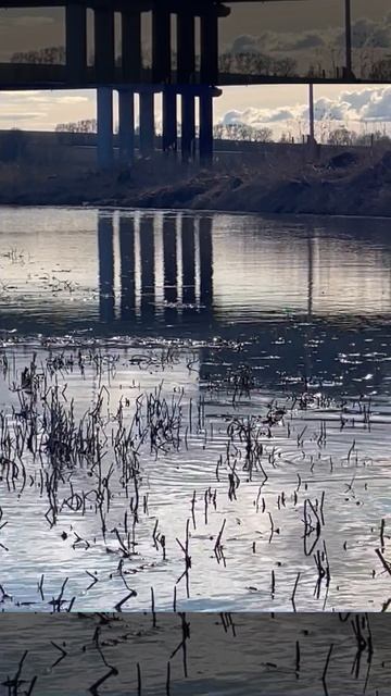 Нерест щуки ( малые реки России)