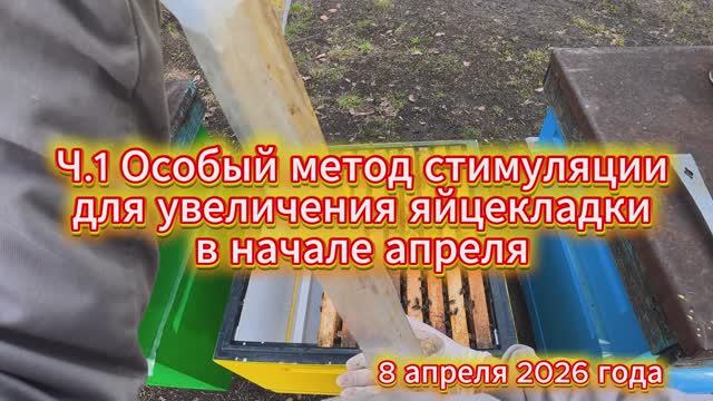 Ч.1 Особый метод стимуляции для увеличения яйцекладки в начале апреля
