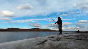 Огромные караси поклёвывают и даже сазан. Хорошая рыбалка на донки.