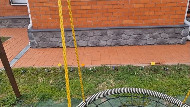 Мои первые апрельские цветы 🌺🌸🌺🌸🌺🌸🌺🌸🌺🌸🌺🌸🌺🌸🌺🌸🌺