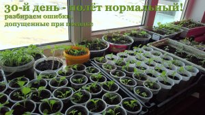 30-й день - полёт нормальный!