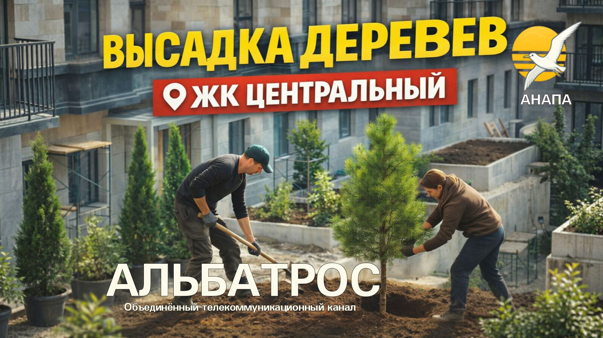 #ЦЕНТРАЛЬНЫЙ ЖК 🌞 Как озеленяли террасу ЖК Центральный / Альбатрос наблюдает / музыка и стихи