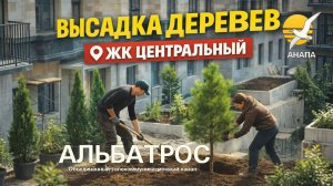 #ЦЕНТРАЛЬНЫЙ ЖК 🌞 Как озеленяли террасу ЖК Центральный / Альбатрос наблюдает / музыка и стихи