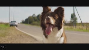 Космическая собака Лида | Отрывок из фильм