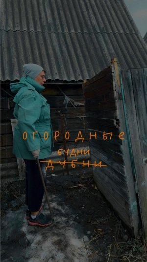 День 3: снос туалета