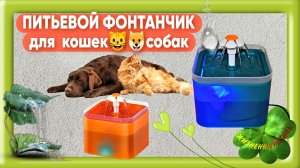 ПИТЬЕВОЙ ФОНТАНЧИК Арт: ALI93077978  для кошек🐱🐶собак, фонтан, поилка