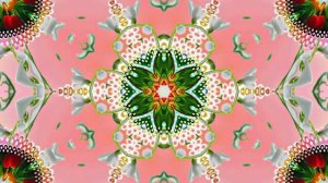 Весна! Очаровательные тюльпаны 10! Киностудия Мудрого Кота Тимофея!