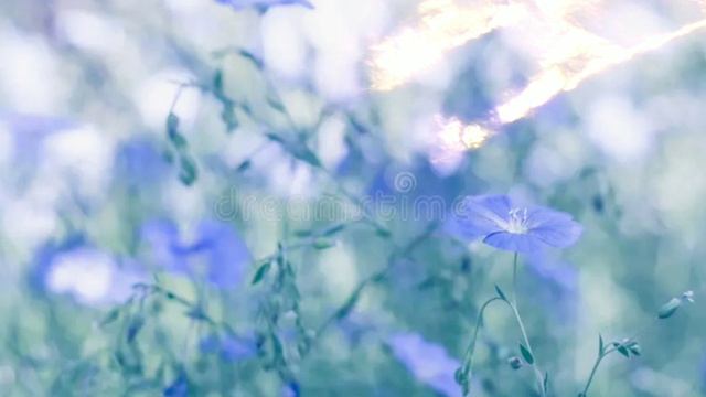 Сананда. О ВЕРЕ ОБЩЕСТВЕ ОБЩИНЫ 06.04.2026 52 Послание