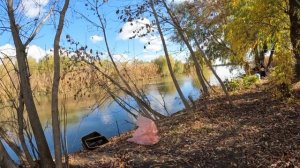 Рыбалка в Астрахани осенью.
острова.
Сазаний мыс.
ловля жереха.
2025.